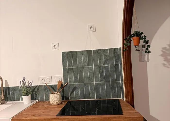 Le Secret Des Remparts - Jacuzzi- Vue Cite - Free Parking - Climatisation Carcassonne